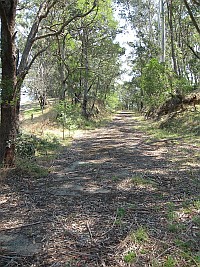 Vic - Tostaree - Jonsons Road (Old Princes Highway) abandoned road 4 (8 Feb 2010)
